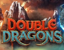 Double Dragons Double Dragons