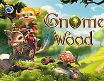 Gnome Wood Gnome Wood